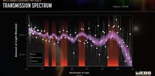 How Giant Planet Survived Its Star’s Death