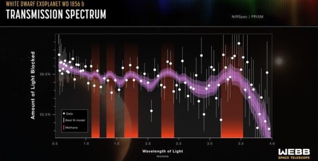 How Giant Planet Survived Its Star’s Death