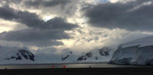 ‘Damaging The Antarctic Damages Us All’ – Scientists Warn