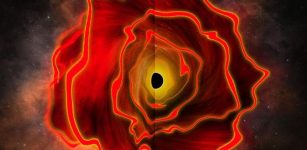 A Gas Enshrouded and Gas Reddened Black Hole at Cosmic Dawn
