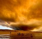 Climate Change Could Cause The Area Burned By Wildfires In Europe To Nearly Triple