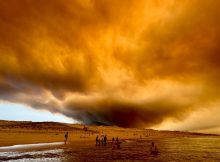 Climate Change Could Cause The Area Burned By Wildfires In Europe To Nearly Triple