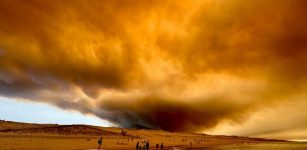 Climate Change Could Cause The Area Burned By Wildfires In Europe To Nearly Triple