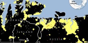 Human Activity More Than Doubles Fire Occurrence In The Arctic