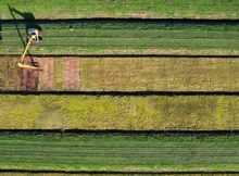 “Bright Spots”: Nine Successful Peatlands And How They Give Positive Results Thanks To Proper Restoration