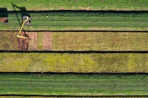 “Bright Spots”: Nine Successful Peatlands And How They Give Positive Results Thanks To Proper Restoration