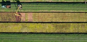 “Bright Spots”: Nine Successful Peatlands And How They Give Positive Results Thanks To Proper Restoration