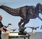 Were There Tiny Dinosaurs? New Study Sheds Light On One Of Evolution’s Biggest Mysteries