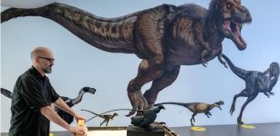 Were There Tiny Dinosaurs? New Study Sheds Light On One Of Evolution’s Biggest Mysteries