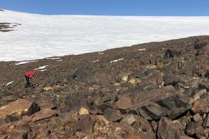 Antarctica: Home To Microbes Found Nowhere Else On Earth