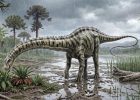 Iconic Diplodocus Discovered In Spain - First Evidence Outside North America
