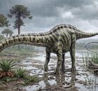 Iconic Diplodocus Discovered In Spain - First Evidence Outside North America