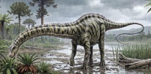 Iconic Diplodocus Discovered In Spain - First Evidence Outside North America