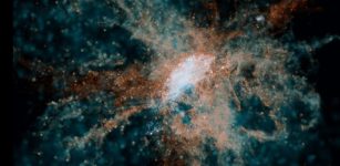 Early Galaxies Were Seeding The Universe With Oxygen And Carbon 500 Million Years After The Big Bang 
