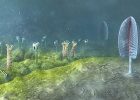 Animals May Have Evolved Up To 200 Million Years Earlier Than Fossil Evidence Suggests