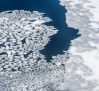 Winter Sea Ice Loss May Be Underestimated - Ancient Clues Reveal