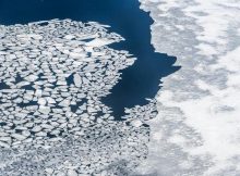 Winter Sea Ice Loss May Be Underestimated - Ancient Clues Reveal