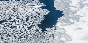 Winter Sea Ice Loss May Be Underestimated - Ancient Clues Reveal