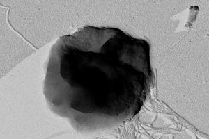 Microorganisms Could Survive In Enceldus's Hidden Ocean - New Study