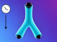 Can A Black Hole Split In Two?