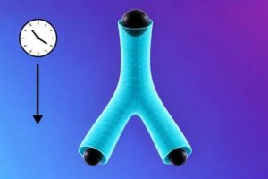 Can A Black Hole Split In Two?