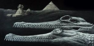 45-Million-Year-Old Sea Crocodile Species Discovered In The Ancient Mediterranean