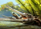 Discovery Of An Ancient Crocodile Relative In Morocco And Its Surprising Feeding Habits