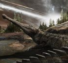 Keeping To Warm Climates Helped Crocodiles Outlast The Dinosaurs
