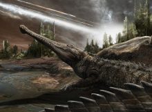 Keeping To Warm Climates Helped Crocodiles Outlast The Dinosaurs