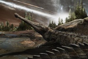 Keeping To Warm Climates Helped Crocodiles Outlast The Dinosaurs