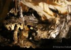 Ancient Human DNA Reveals Hidden Connections Across Ice Age Europe