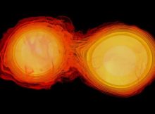 Can Gravitational Fields Break And Reconnect? Einstein’s Equations Suggest They Can