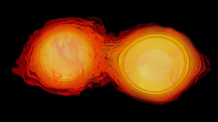 Can Gravitational Fields Break And Reconnect? Einstein’s Equations Suggest They Can