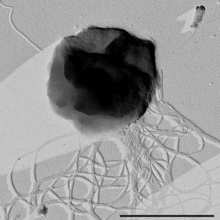 Microorganisms Could Survive In Enceldus's Hidden Ocean - New Study