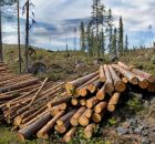 Which Is The Dominant Factor For Species Occurrence And Abundance: The Climate Or Habitat-Related Variables?