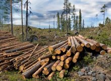 Which Is The Dominant Factor For Species Occurrence And Abundance: The Climate Or Habitat-Related Variables?