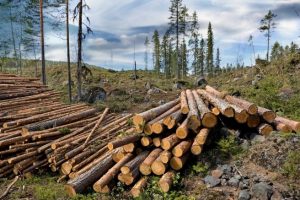 Which Is The Dominant Factor For Species Occurrence And Abundance: The Climate Or Habitat-Related Variables?