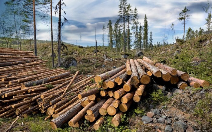 Which Is The Dominant Factor For Species Occurrence And Abundance: The Climate Or Habitat-Related Variables?