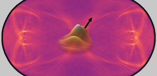 Quantum Systems Never Quite Forget Where They Came From