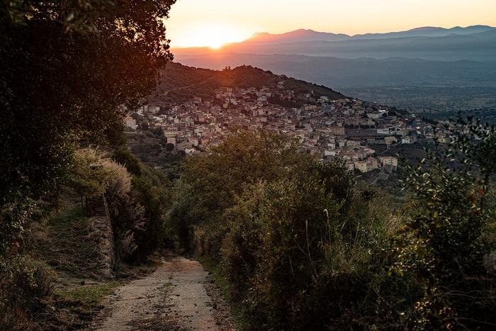 Sardinian Village Of Bolotana - A New Longevity Hotspot - Exceptional Late-Life Survival