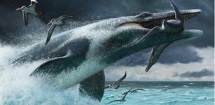 Some Ancient Sea Predators Were Built for Surprise Attacks