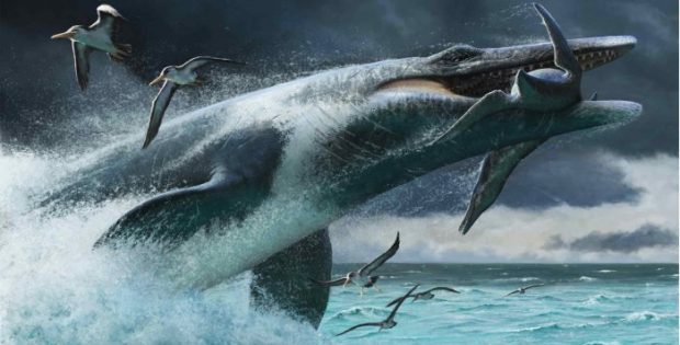 Some Ancient Sea Predators Were Built for Surprise Attacks